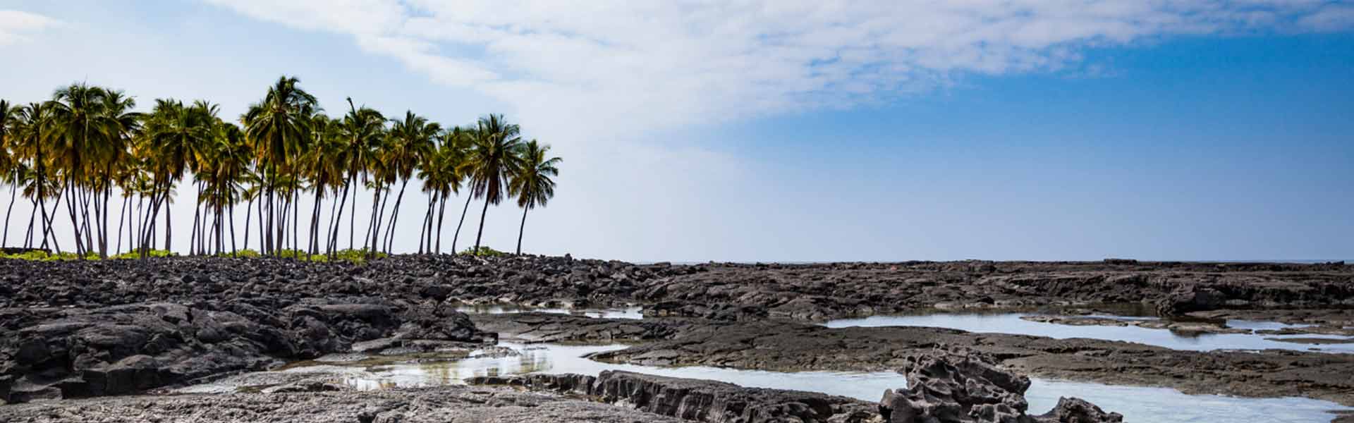 Lauren Brandon Wie man im offenen Wasser schneller schwimmt ZONE3 Europe